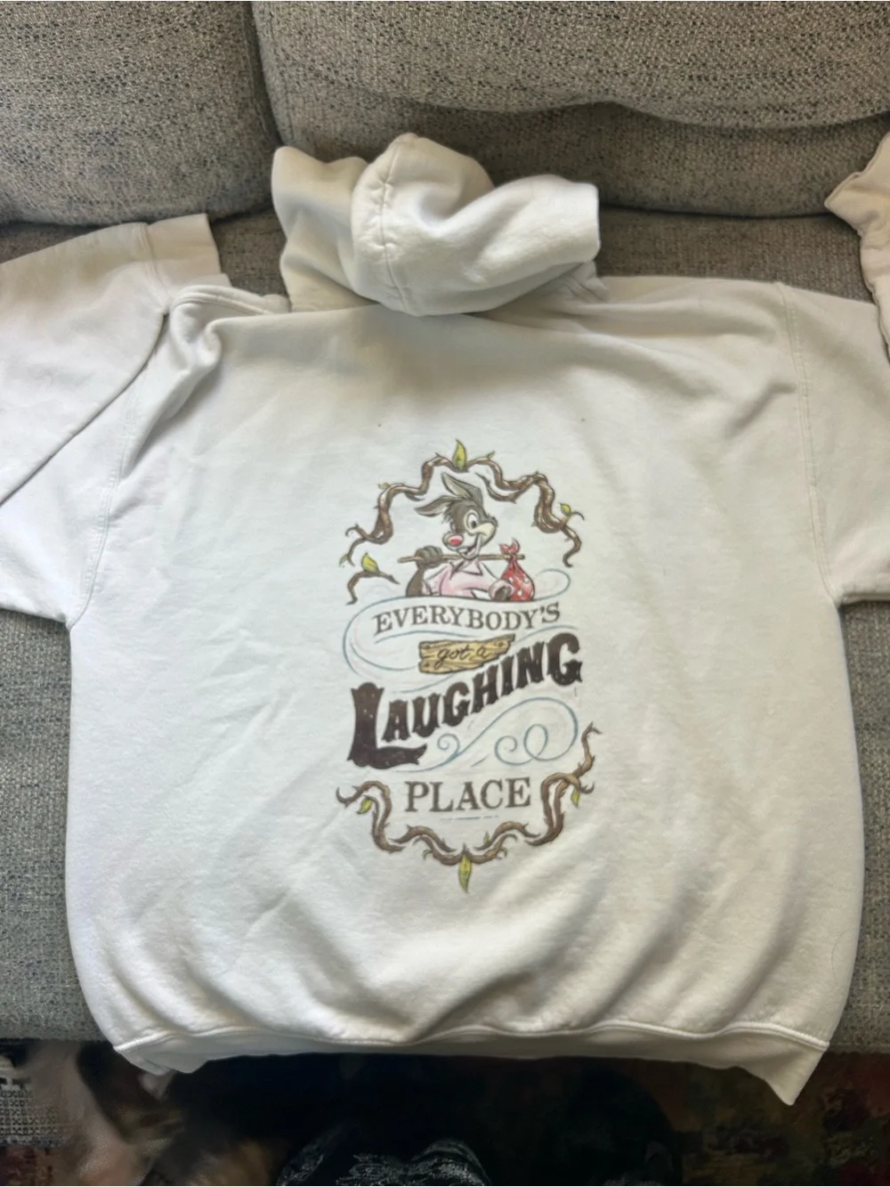 Vintage Disney Parks Splash Mountain Hoodie - Picture 2 of 5